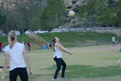 DSC_5391 (Large).JPG